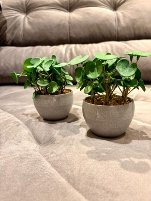 Maceta con planta artificial
